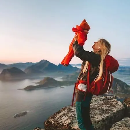 Front View - Mountain & Seaview Reine